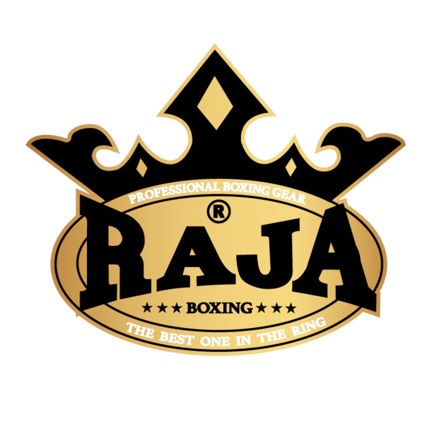 Raja Shin Guards