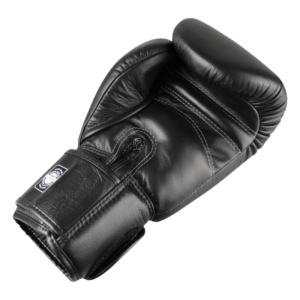 Twins Special BGVL3 Velcro Boxing Gloves